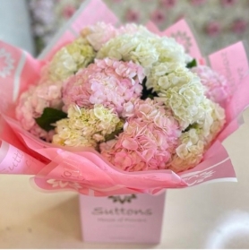 pink and white hydrangea hand tied
